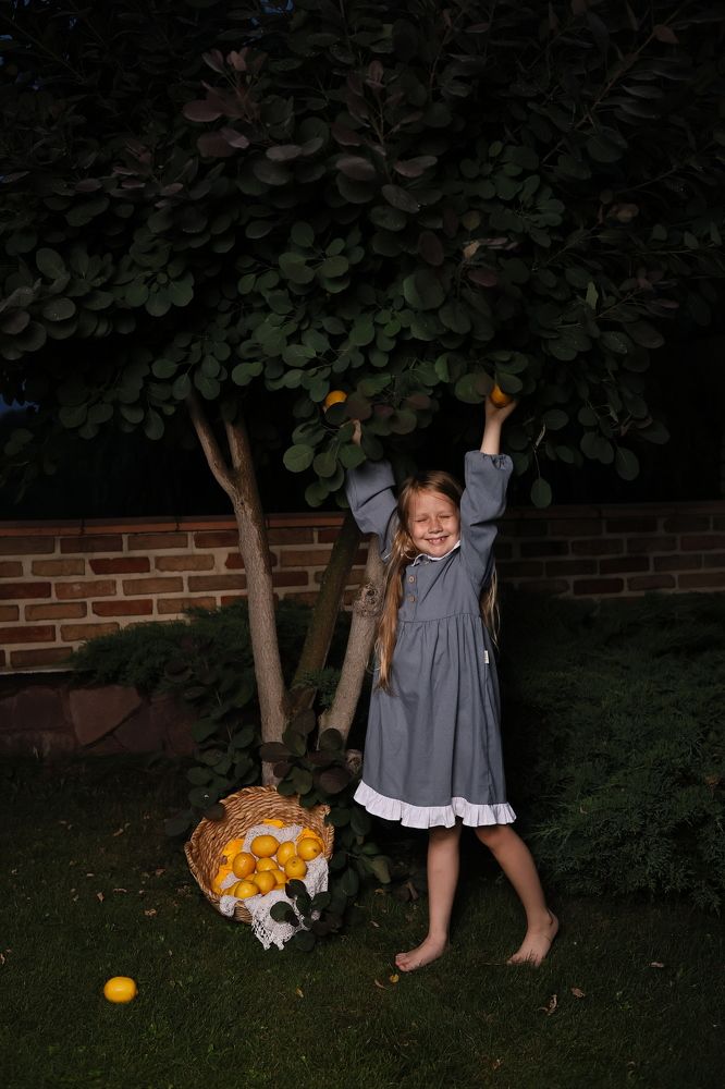 Сбор урожая