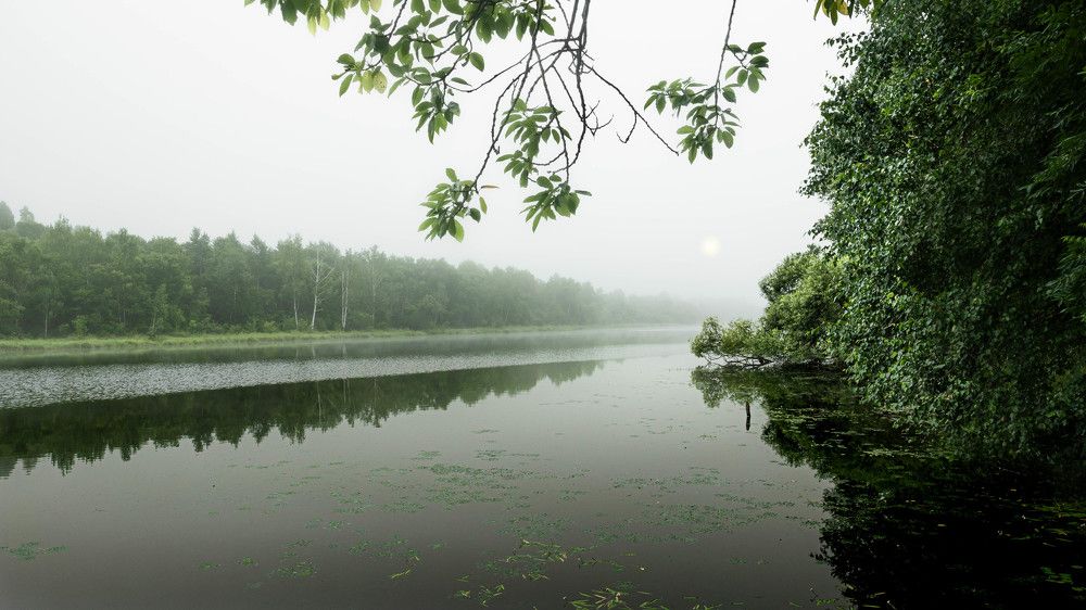 Photograph by Игорь Иванов