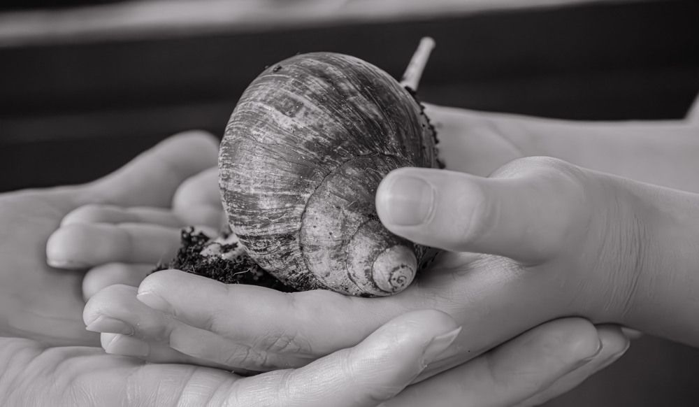 Photograph by Виктор Саврей