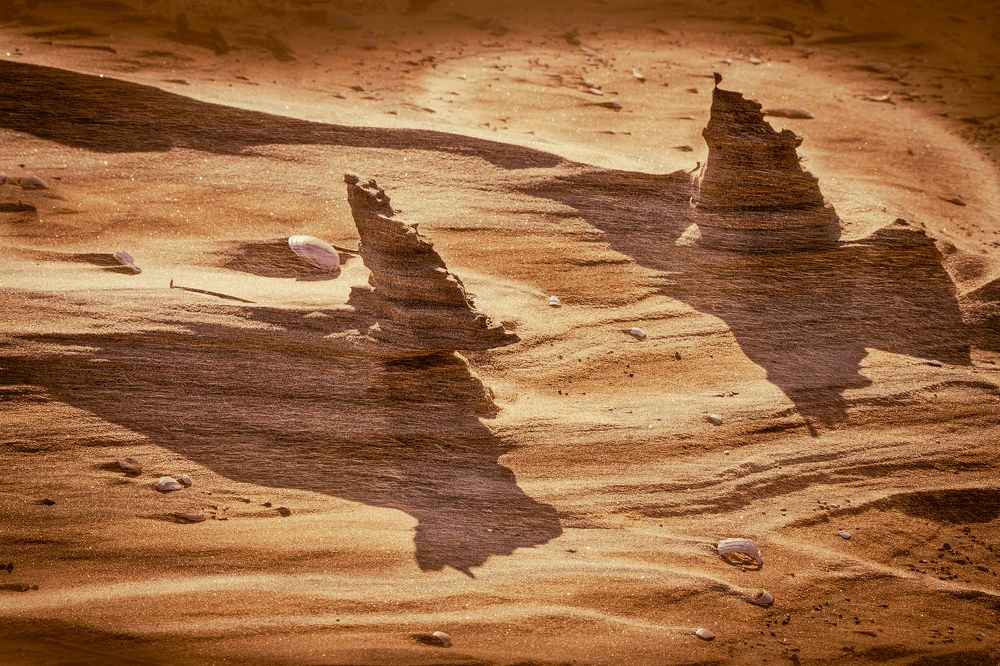 Photograph by Ольга Мусиенко