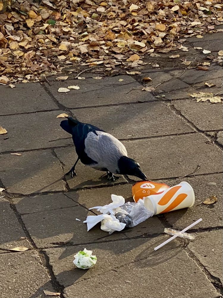 Фотография автора ГУЗАЛИЯ ГАНИЕВА