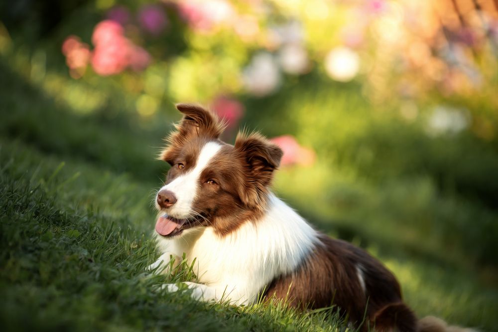 Фотография автора Anna Groshikova