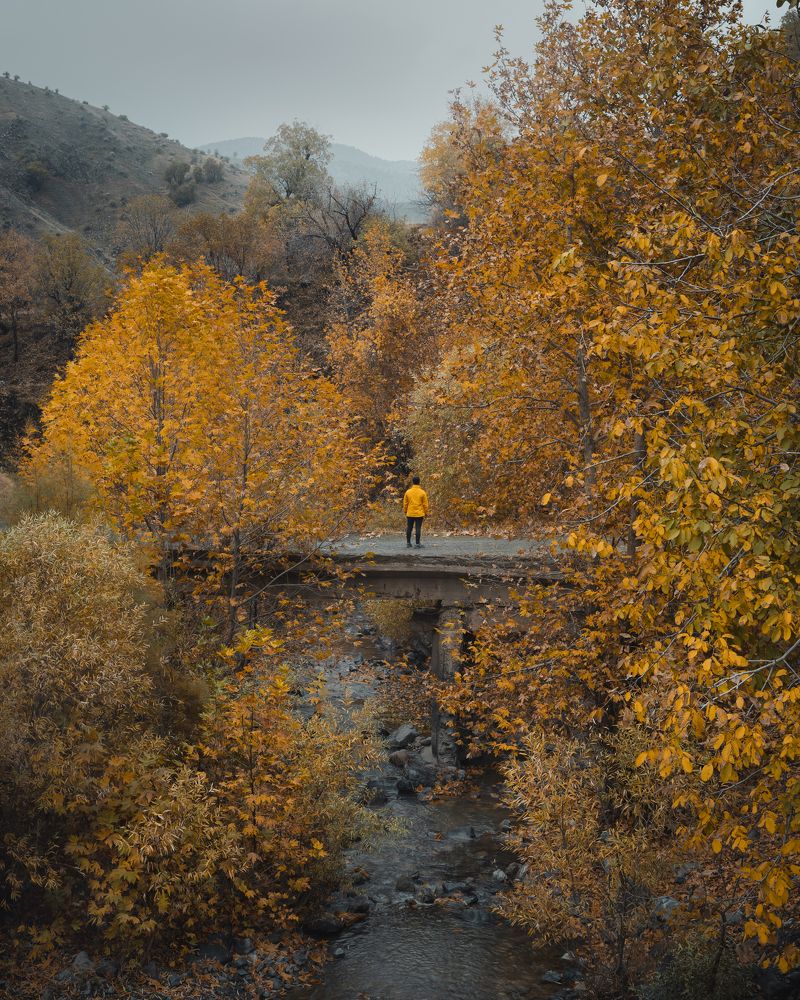 Photograph by Shakar fazel