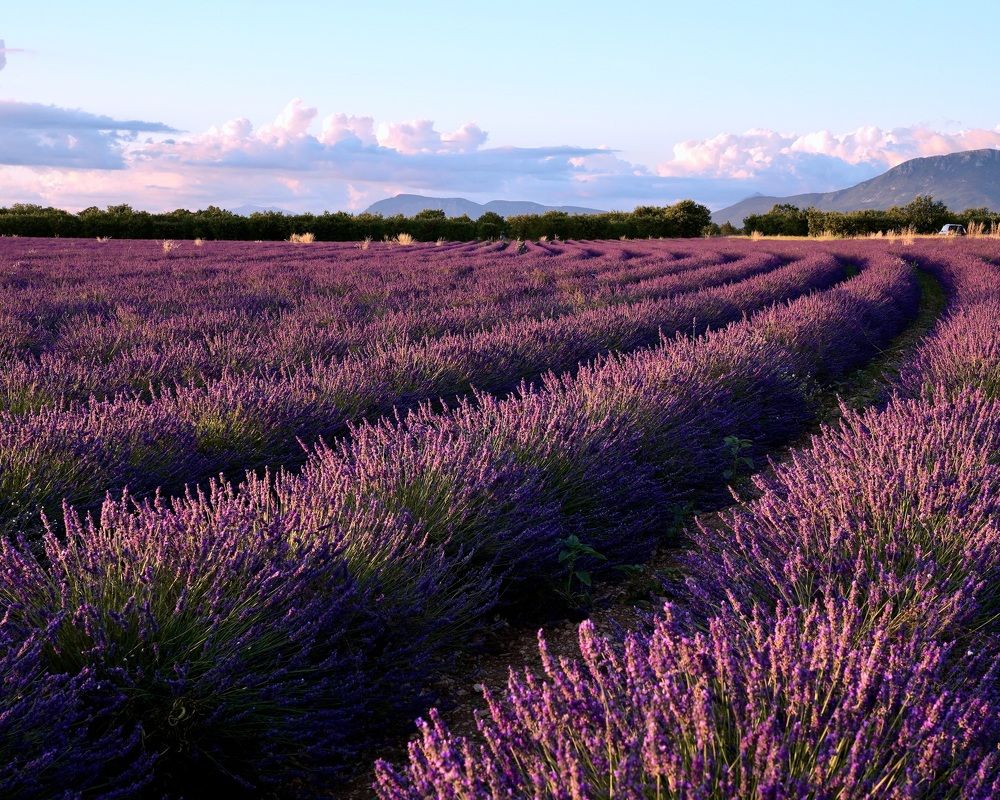 Photograph by Marina Odintsova