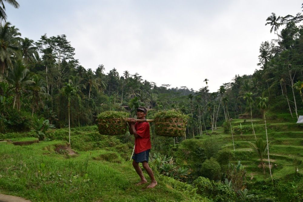 Photograph by Marcos Levy