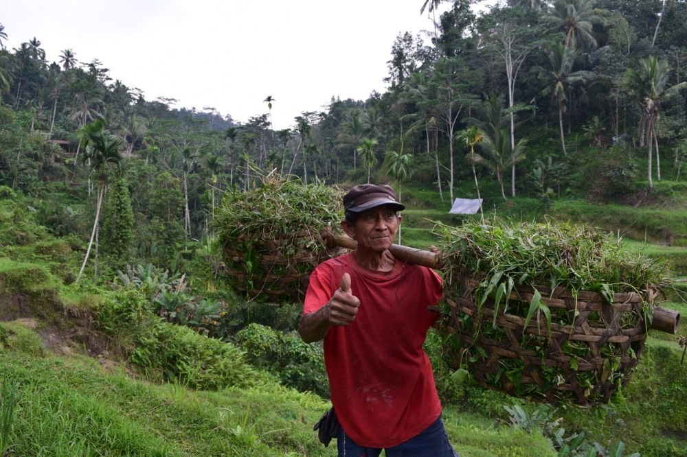 Photograph by Marcos Levy