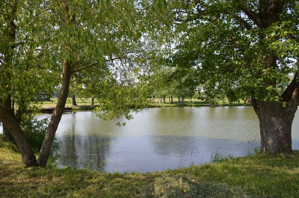 Photograph by Надежда Каравайцева