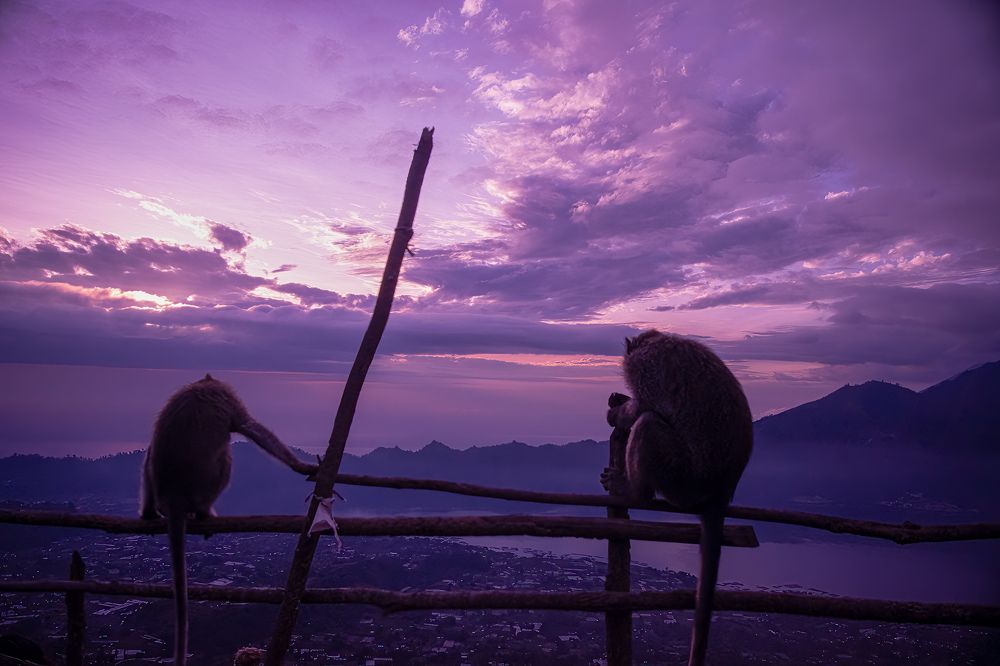 Photograph by Marcos Levy