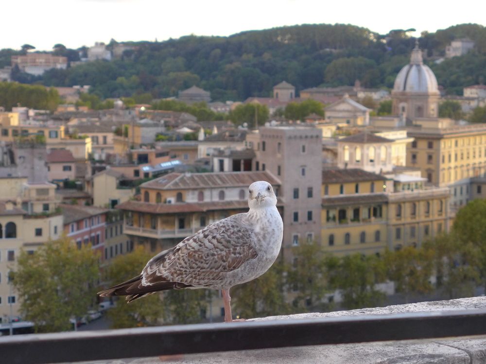 Photograph by Ольга Одаренко