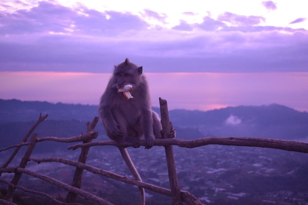 Photograph by Marcos Levy