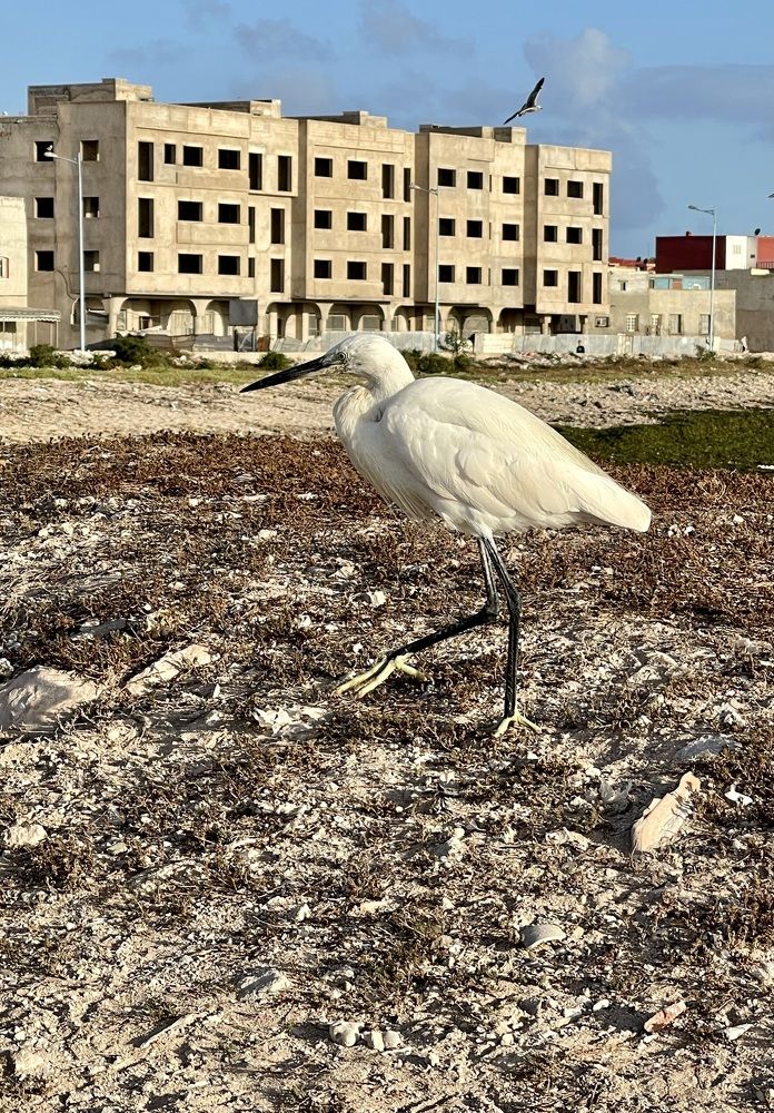 Photograph by Ольга Одаренко