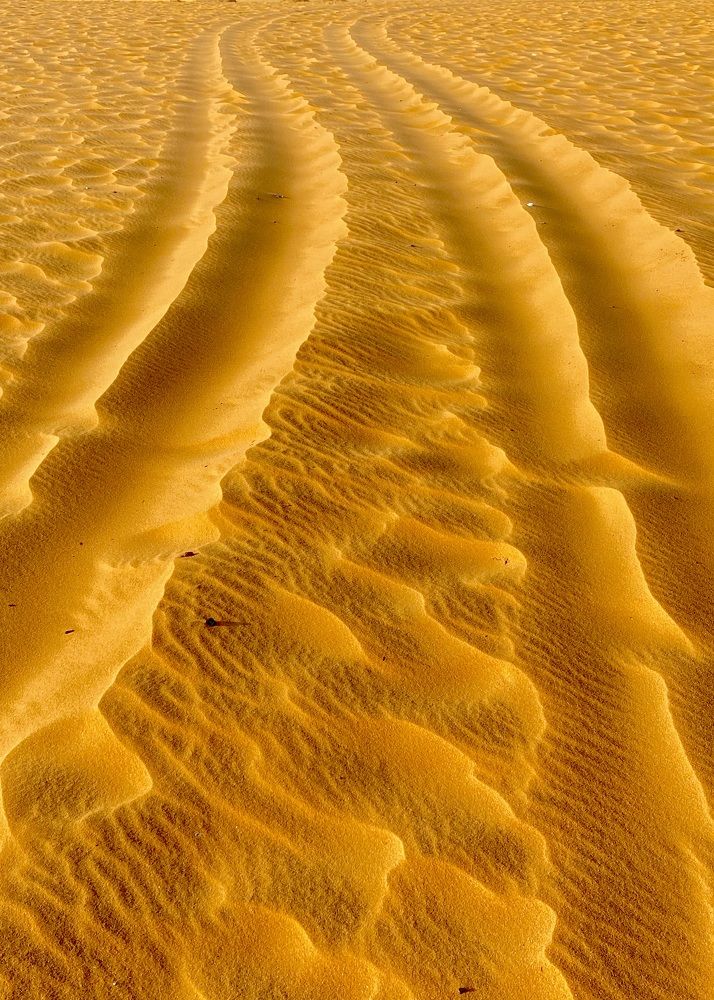 Фотография автора ГУЗАЛИЯ ГАНИЕВА