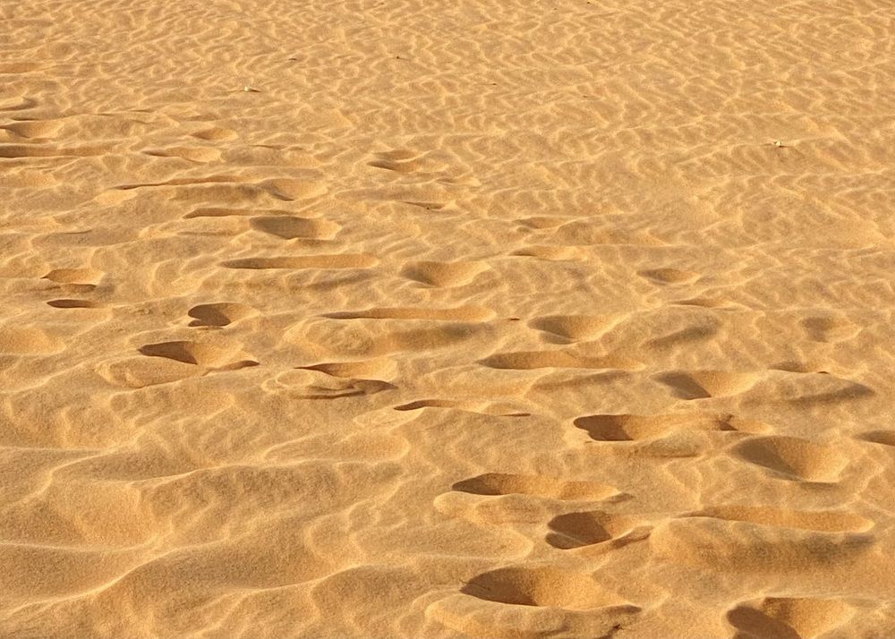 Фотография автора ГУЗАЛИЯ ГАНИЕВА