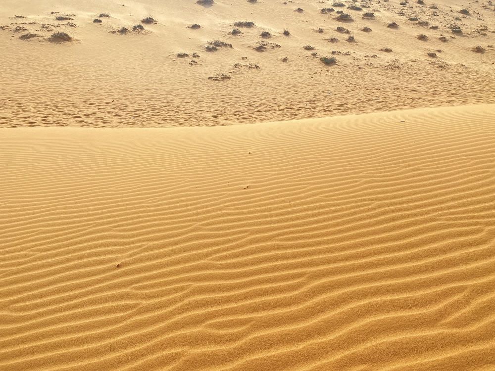 Фотография автора ГУЗАЛИЯ ГАНИЕВА