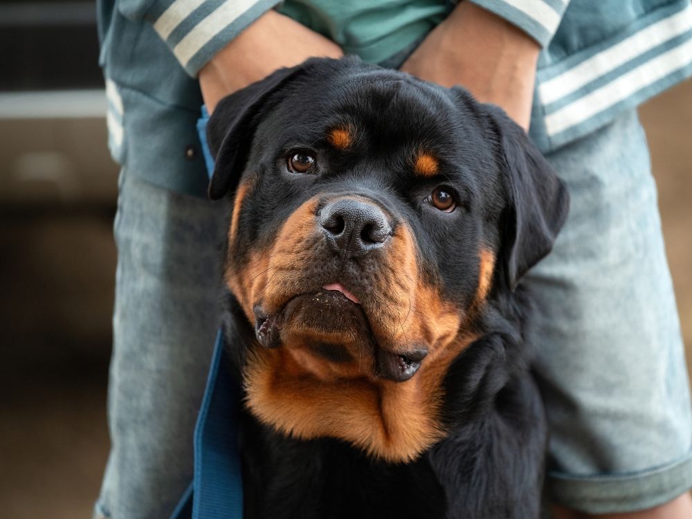 Photograph by Genadi Yakovlev