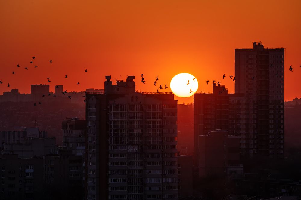 Photograph by Evgeny Vdovin