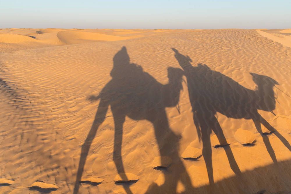 Photograph by Kozionov Pavel