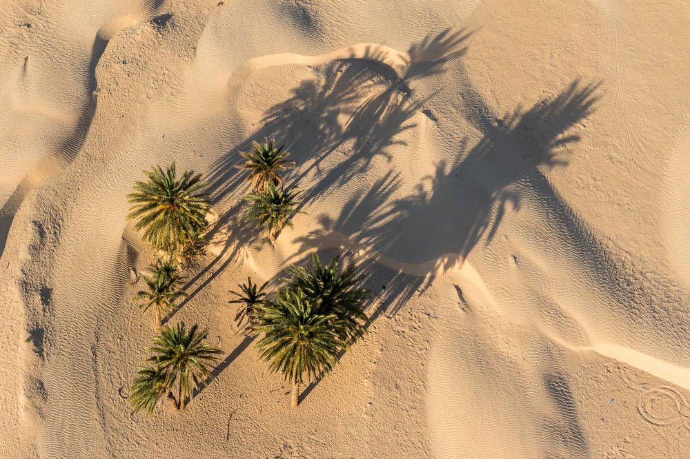 Photograph by Kozionov Pavel