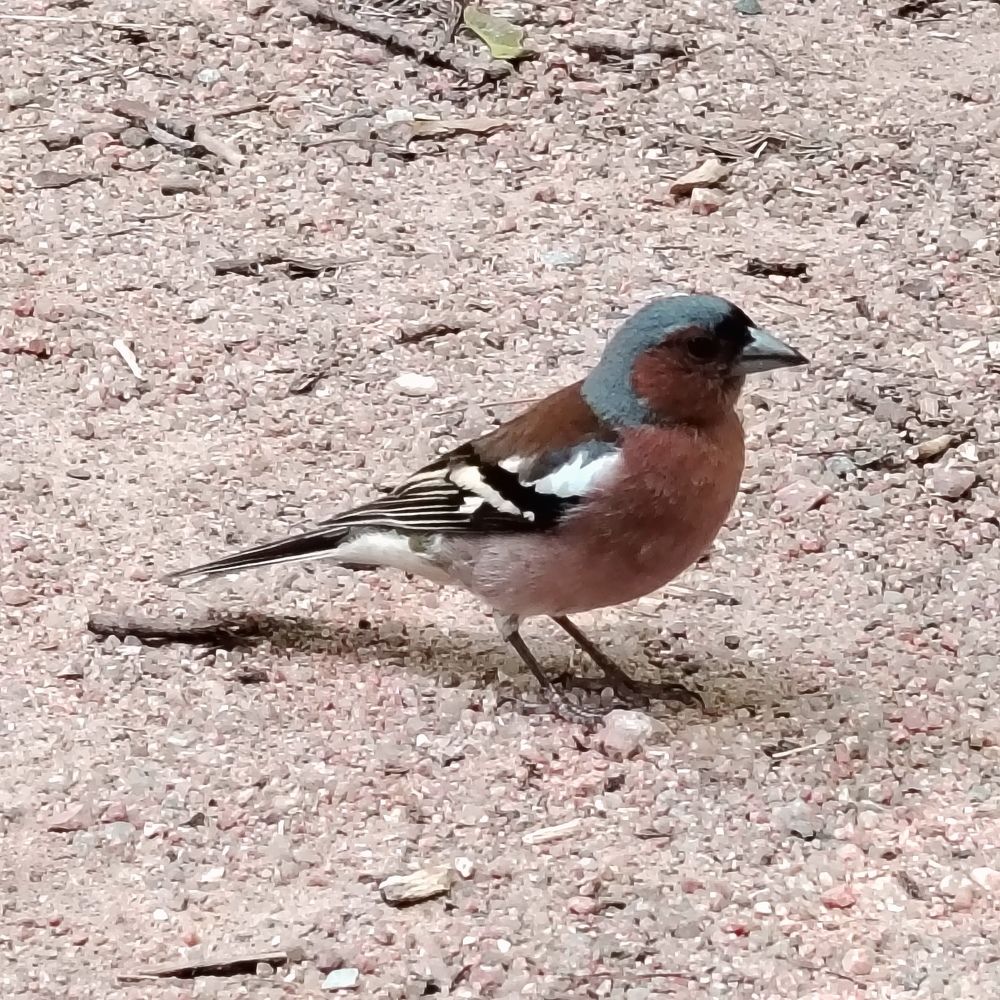 Photograph by Виталий Са