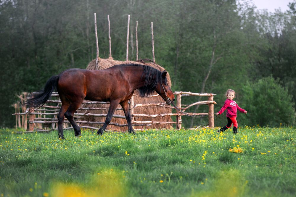 Photograph by Конный фотограф Яна Орлова