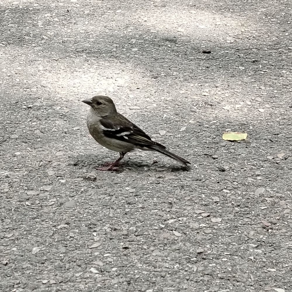 Photograph by Виталий Са