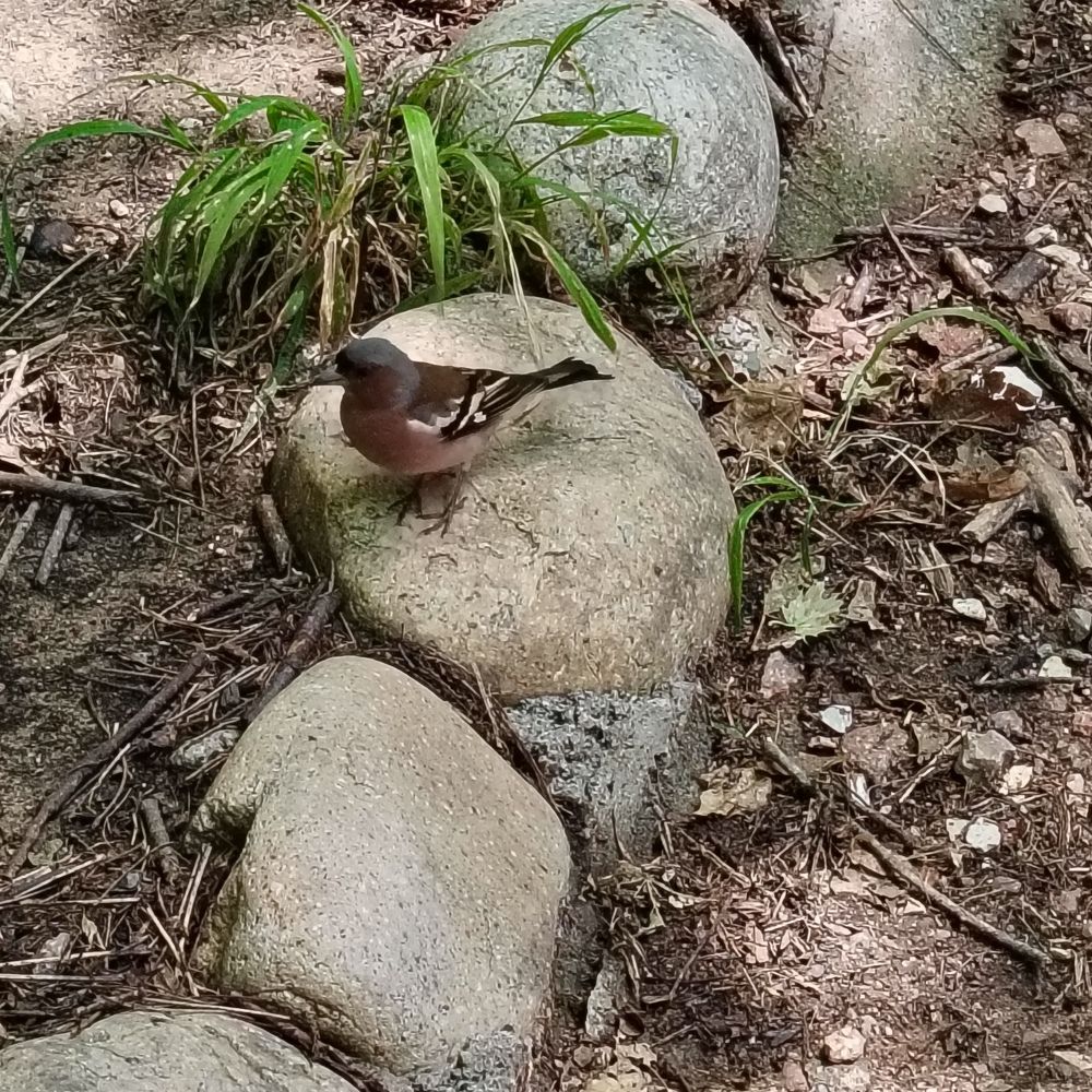 Photograph by Виталий Са