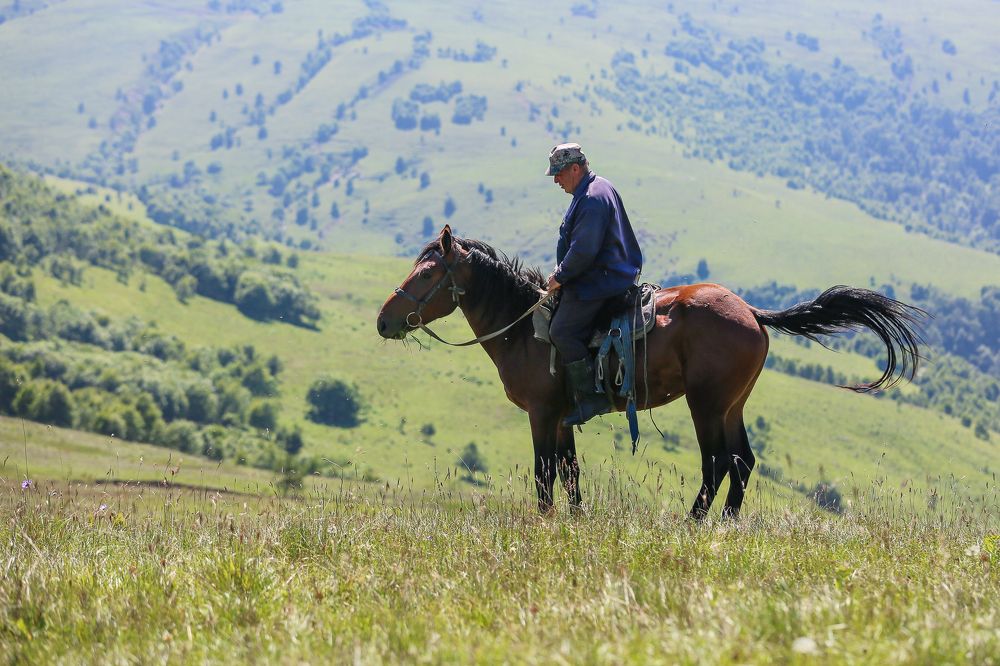 Photograph by Конный фотограф Яна Орлова
