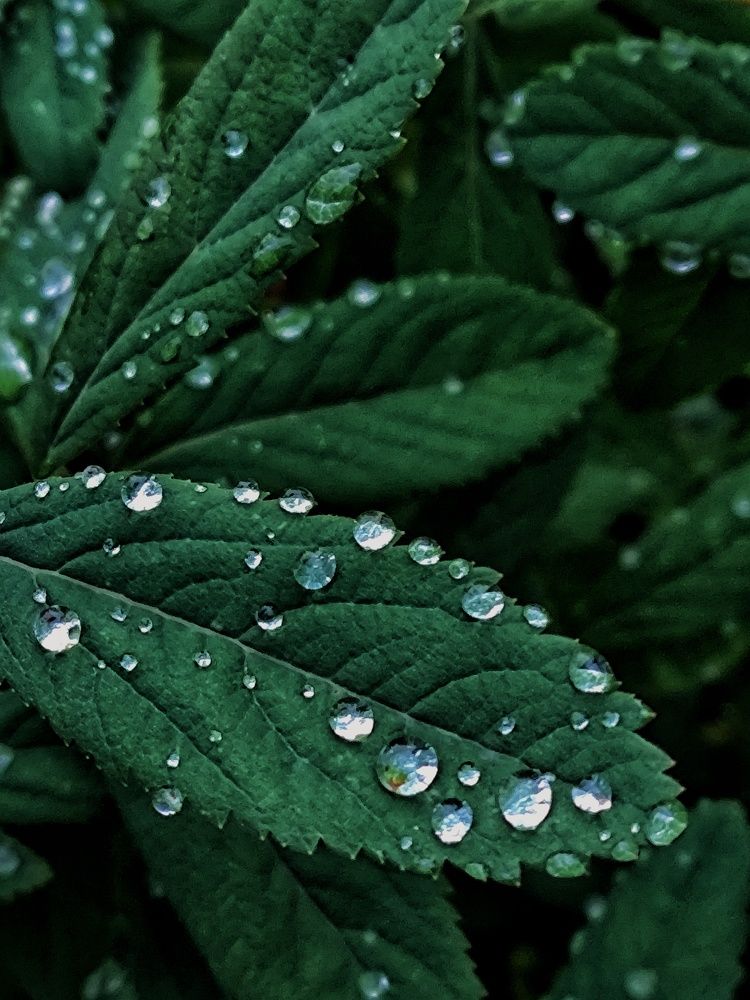 Photograph by Ирина Горбач