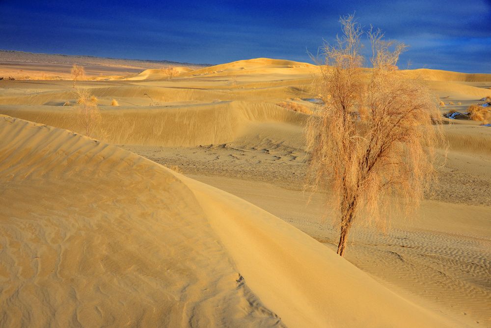 Фотография автора Игорь Ломов