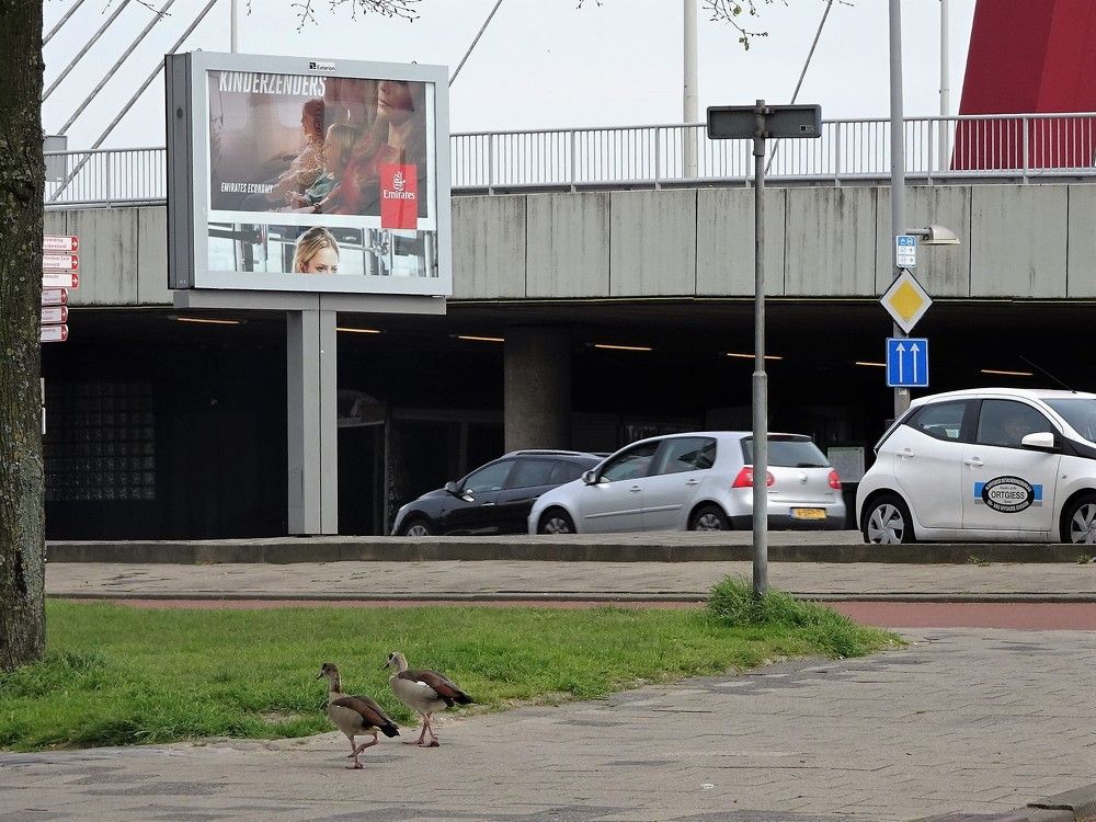 Photograph by Мила Милая