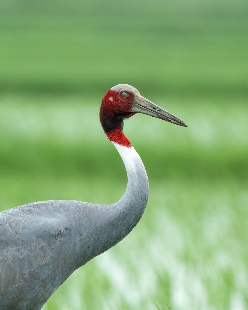 Photograph by Pratik Bhatt