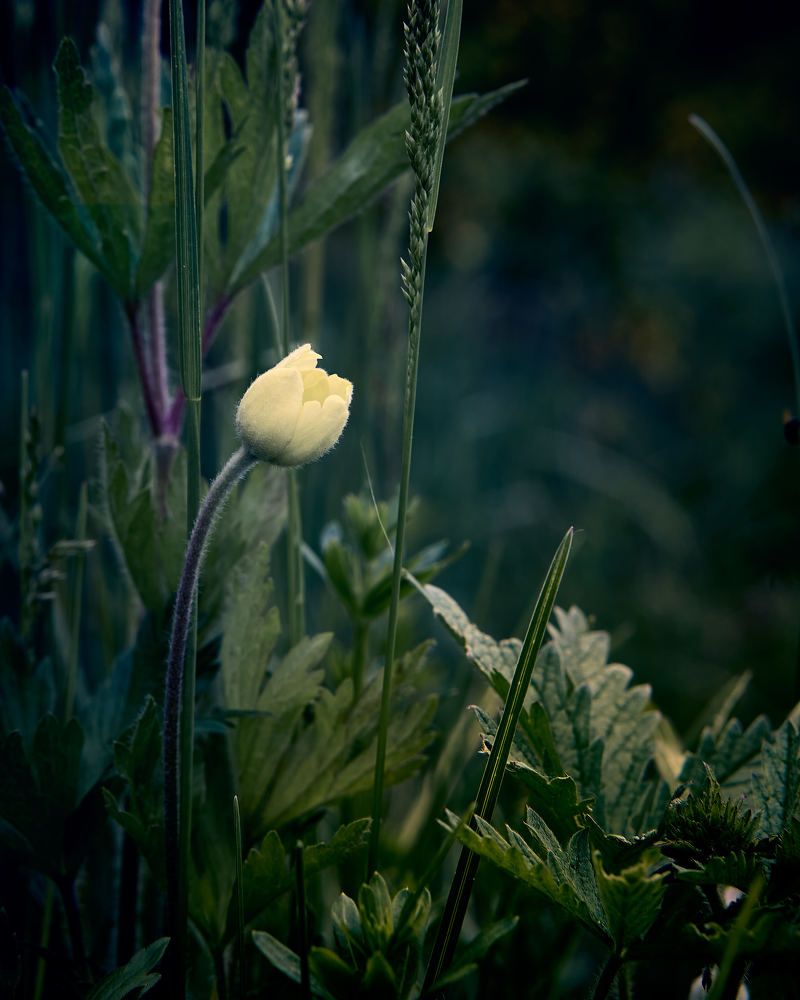 Photograph by Евгений Имамутдинов