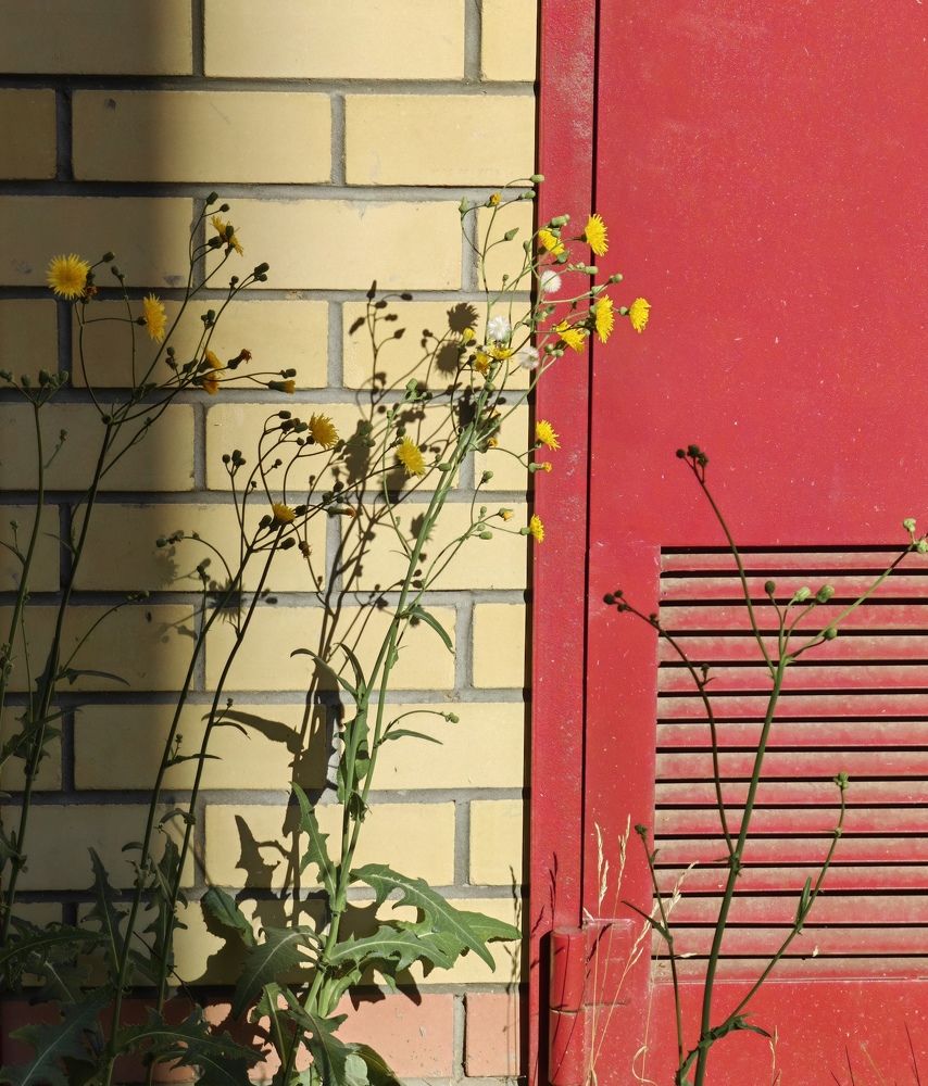 Photograph by Юрий Полушин