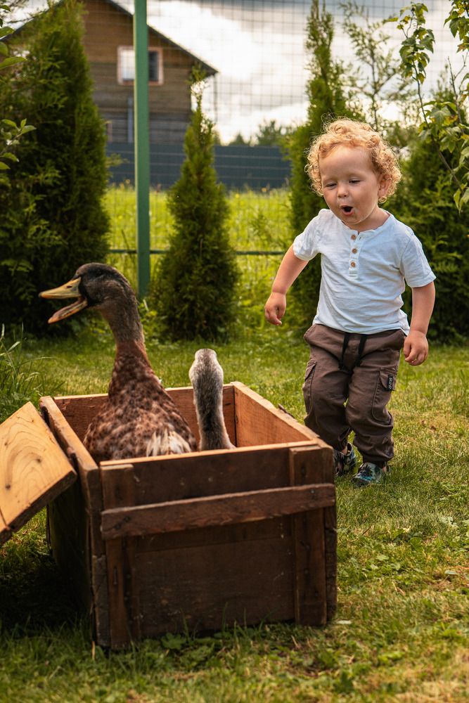 Photograph by Юлия Дмитриева