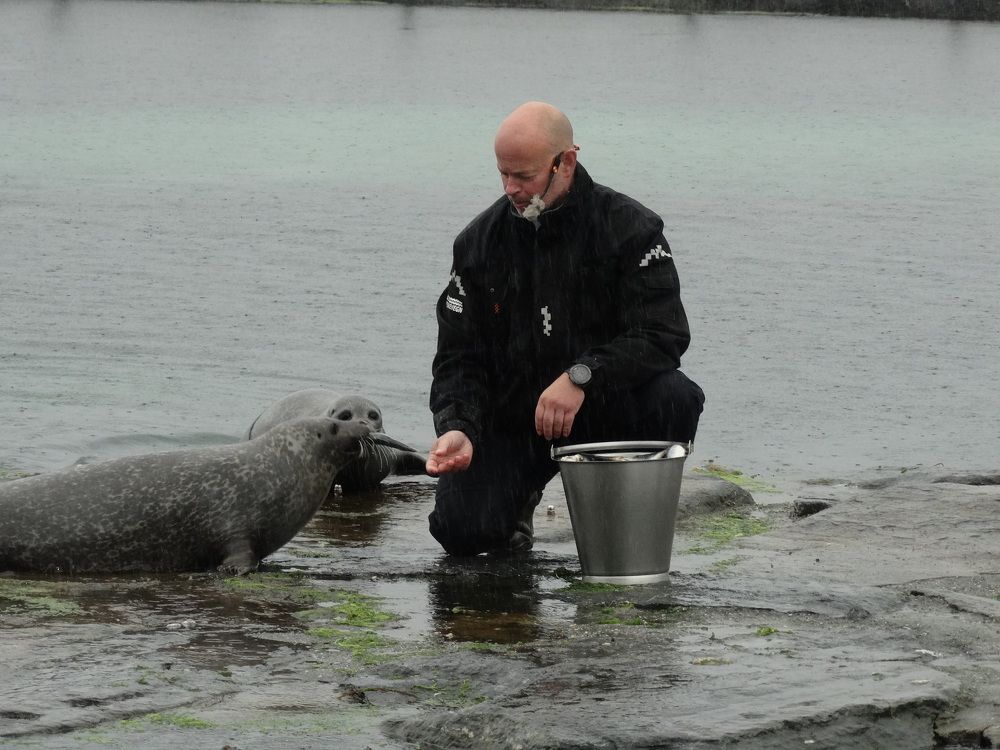 Photograph by Мила Милая