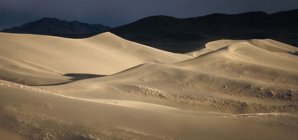 Photograph by Лещёнок Александр