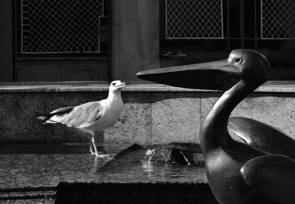 Вот это клювик!