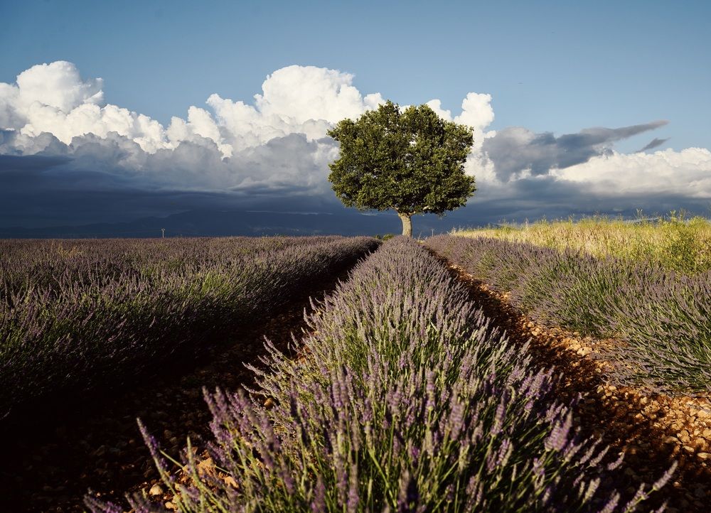 Photograph by Marina Odintsova