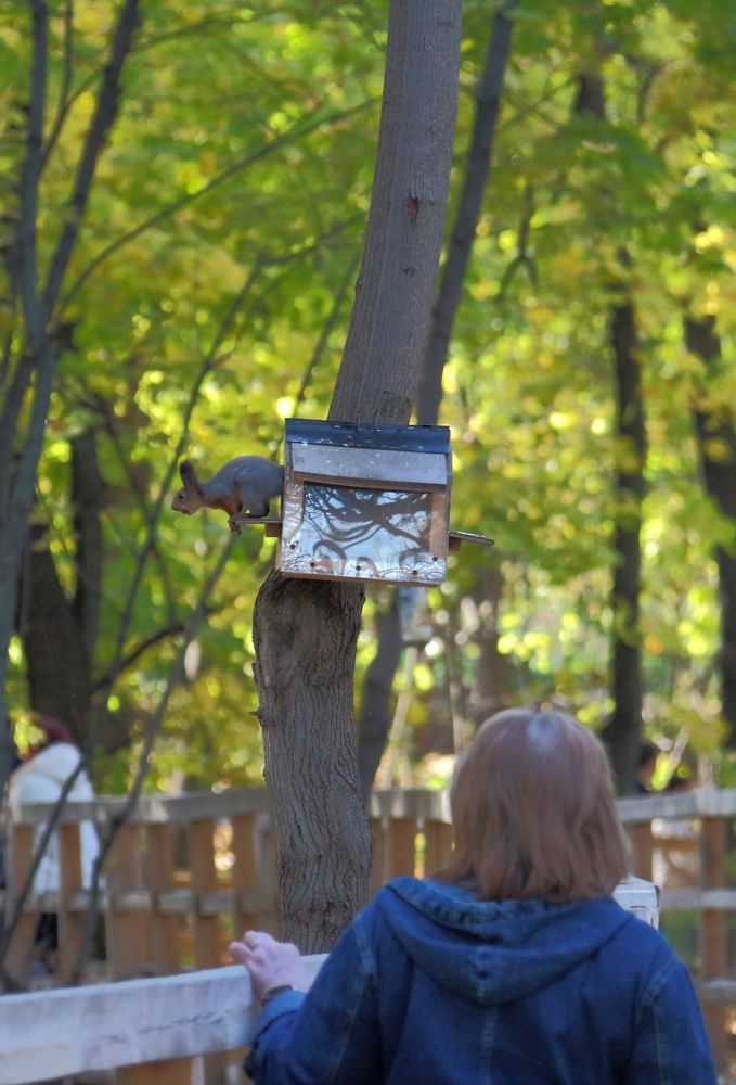 Photograph by Юрий Варюхин