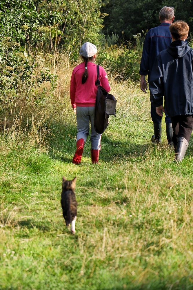 Photograph by Елена Клементьевская