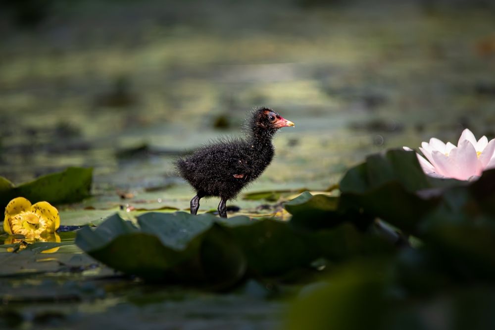Photograph by Александр Белов