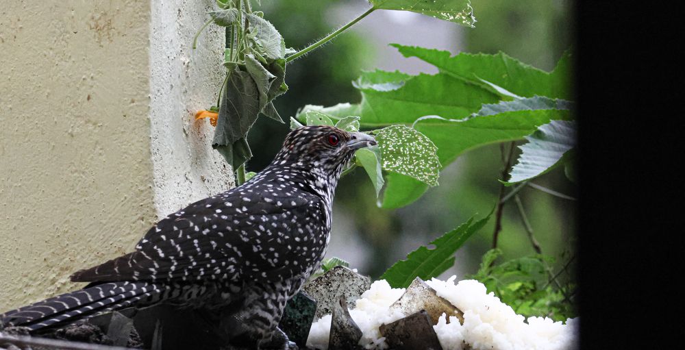 Photograph by Praveen kumar Sampath