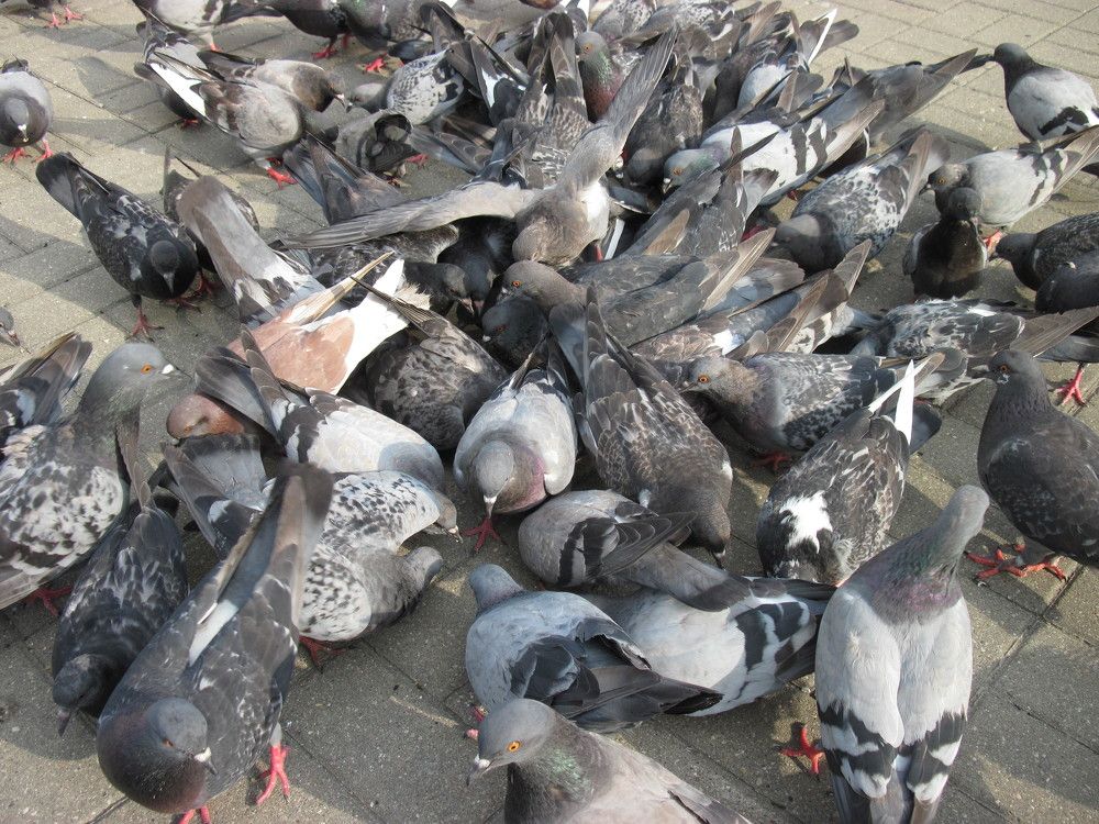 Фотография автора Георгий Самусевич