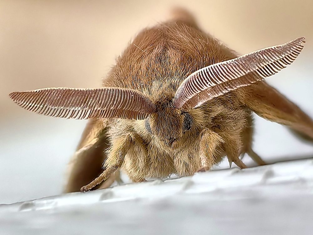 Photograph by Сергей Игнатьев