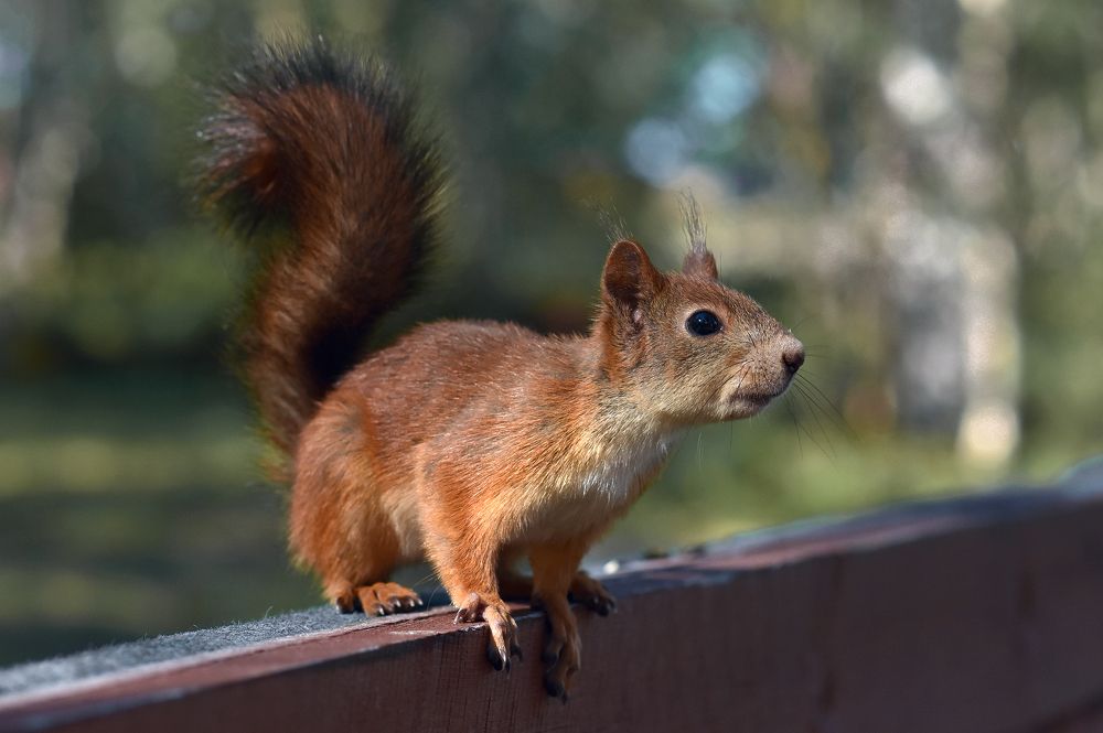 Photograph by Olga Akhmetova