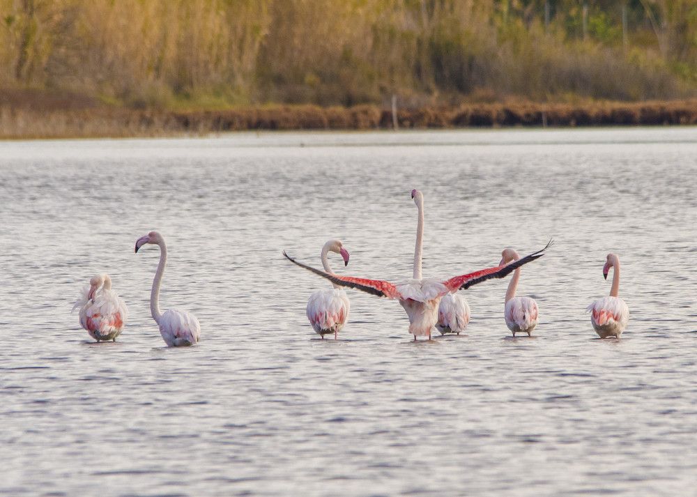 Photograph by Alexandros Melidis