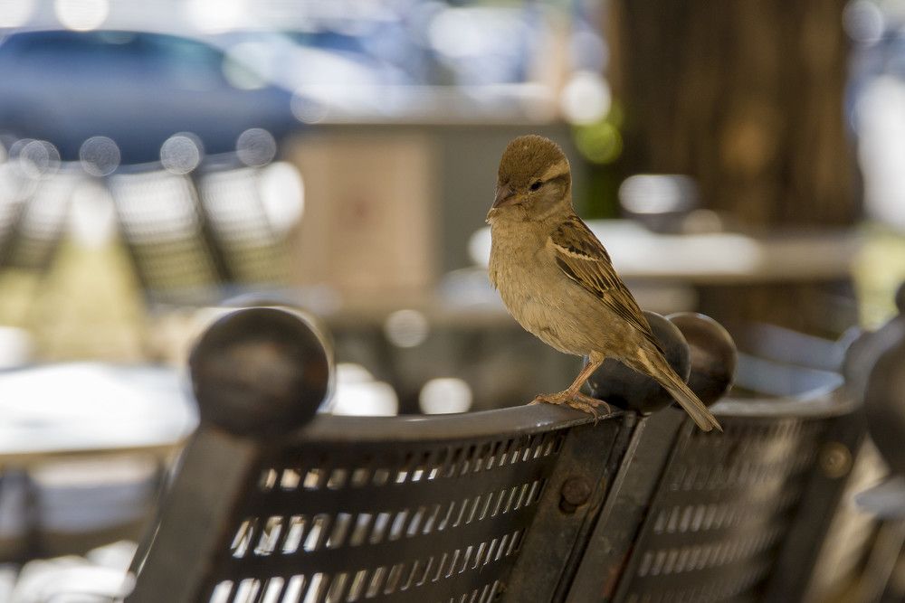 Photograph by Alexandros Melidis