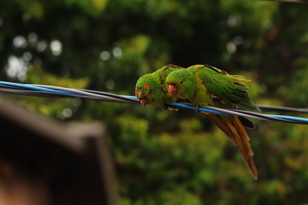 Photograph by Adrielly Mendes Abade