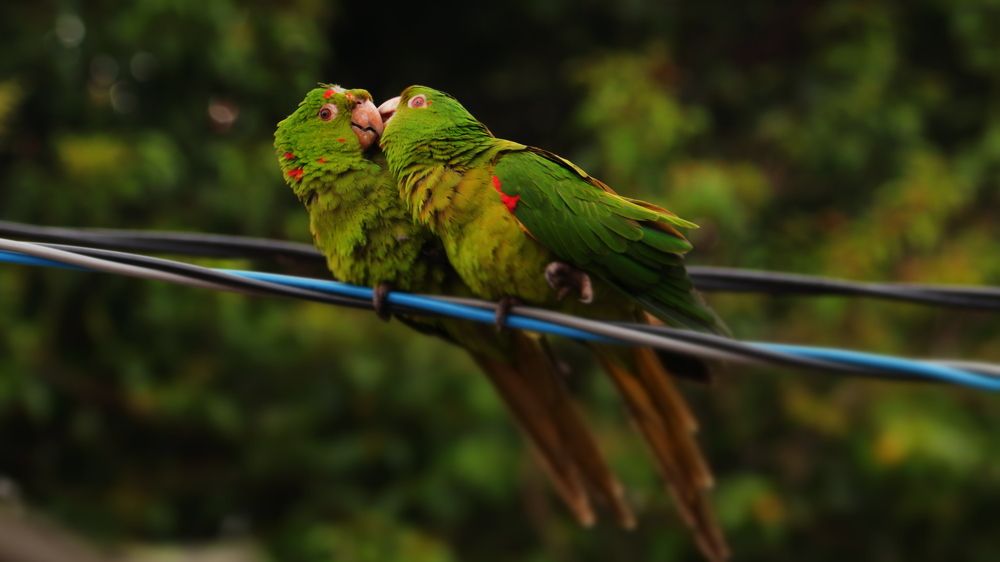 Photograph by Adrielly Mendes Abade