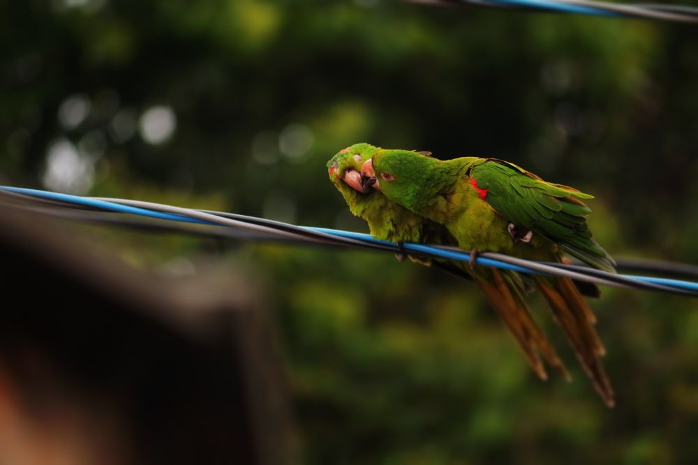 Photograph by Adrielly Mendes Abade